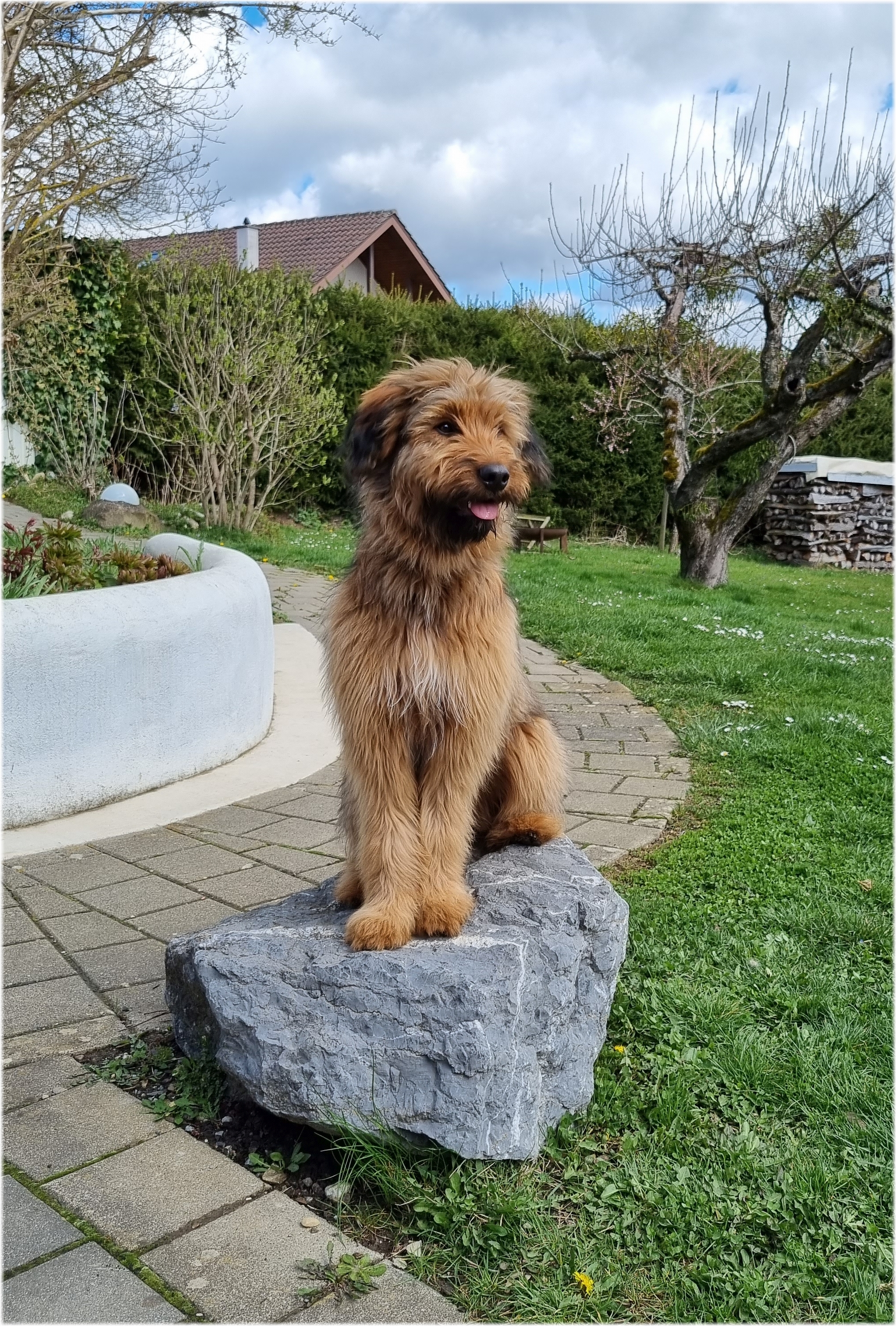 W&auml;ller von der Straubenhalde